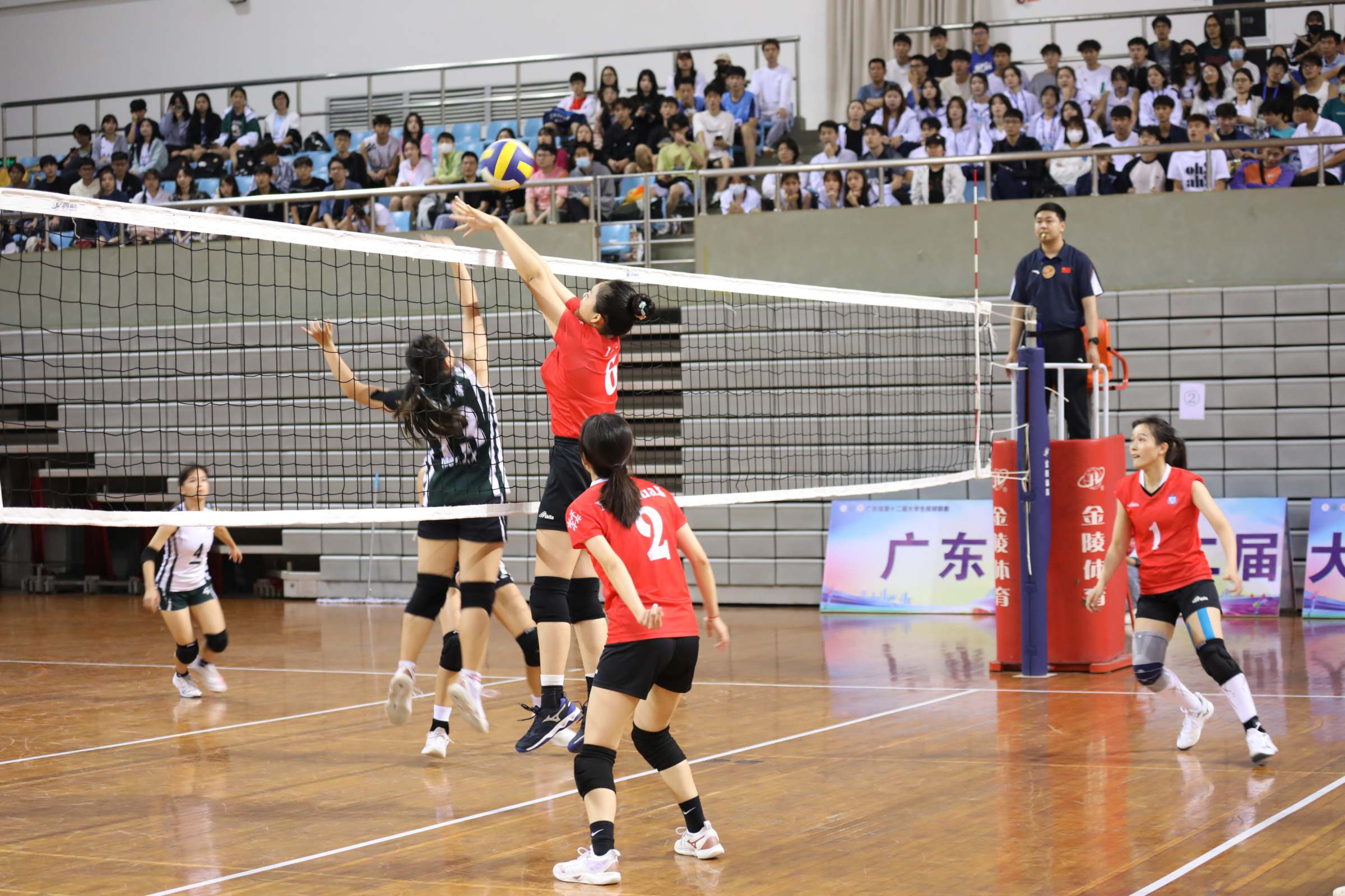 我校女子甲组排球队勇夺广东省第十二届大学生排球联赛冠军